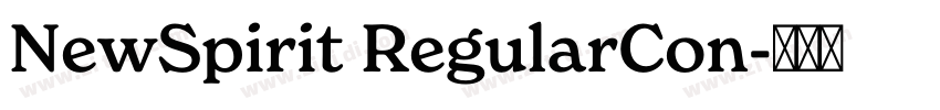 NewSpirit RegularCon字体转换